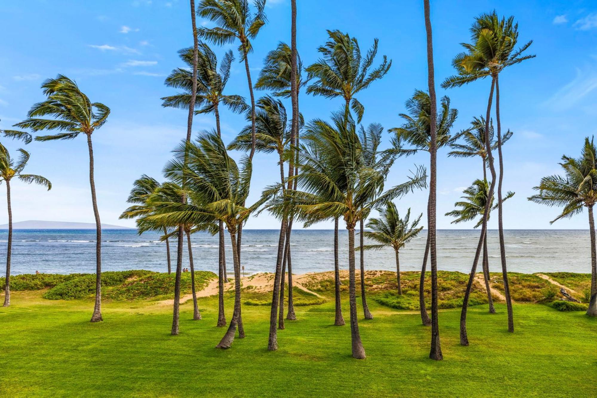 Hale Kai O'Kihei 118 Βίλα Εξωτερικό φωτογραφία