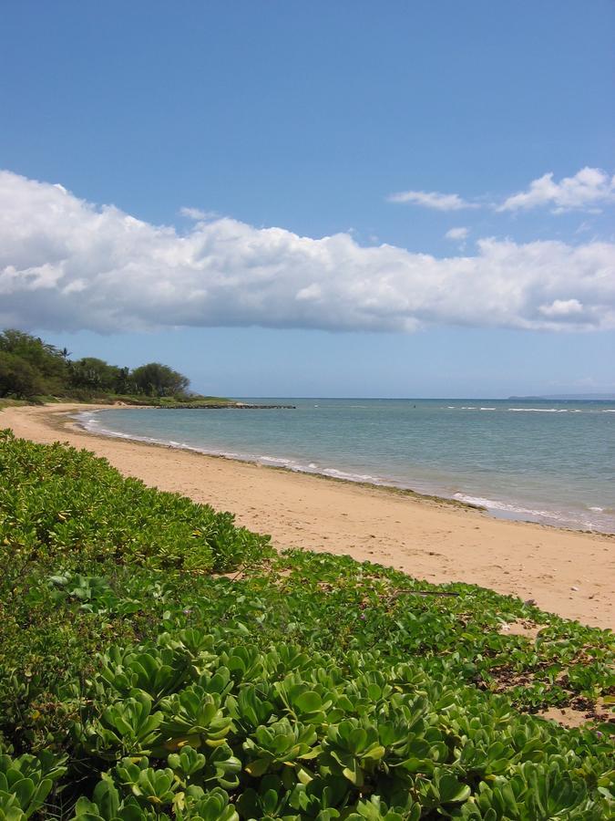 Hale Kai O'Kihei 118 Βίλα Εξωτερικό φωτογραφία